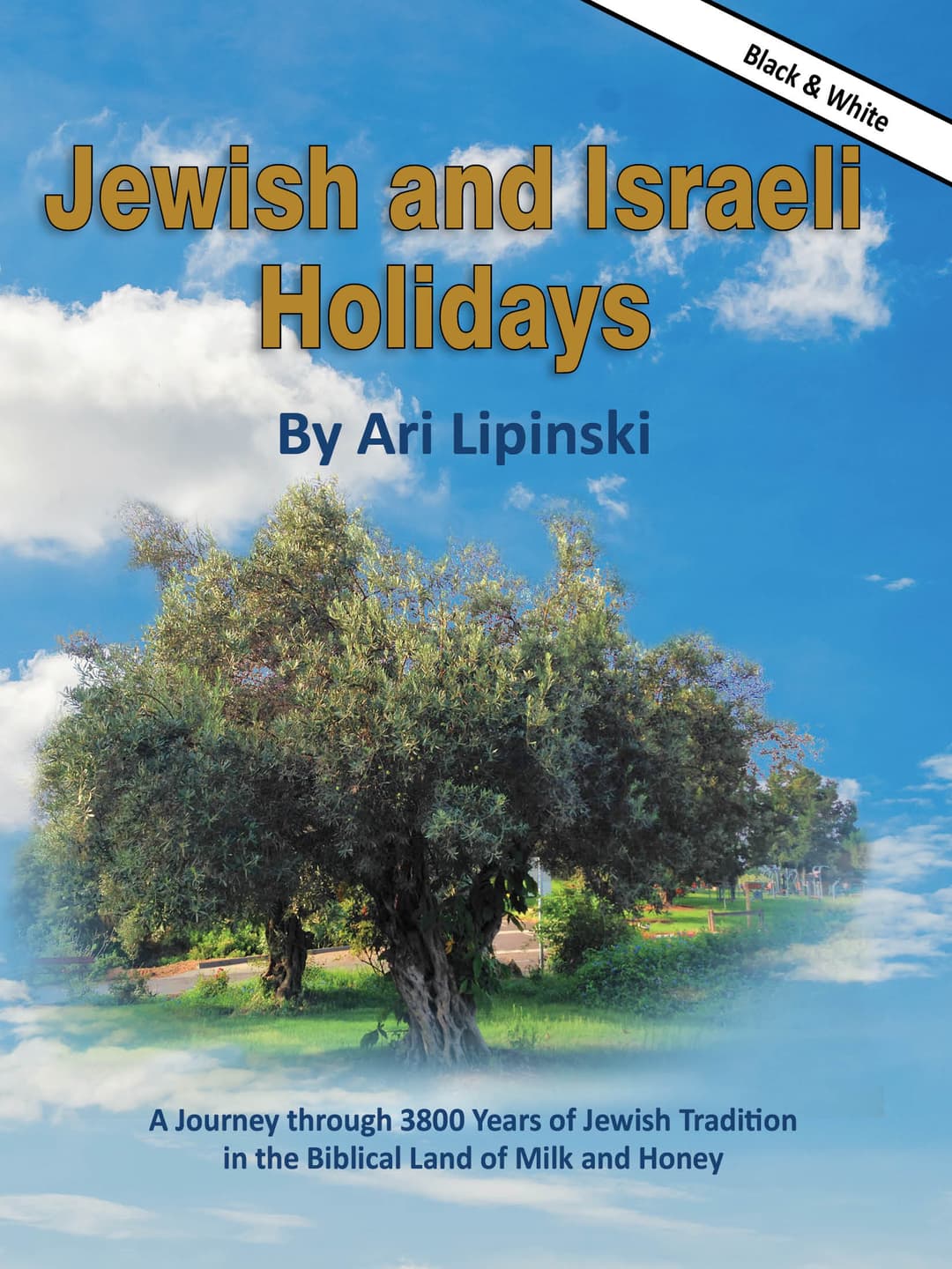 Jewish and Israeli Holidays - Black and White