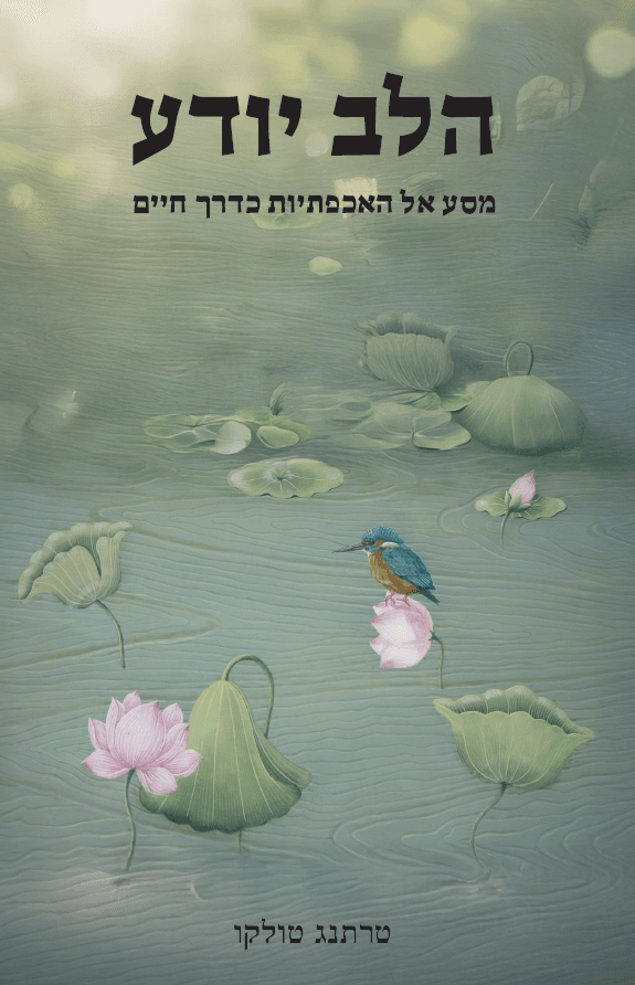 הלב יודע: מסע אל האכפתיות כדרך חיים