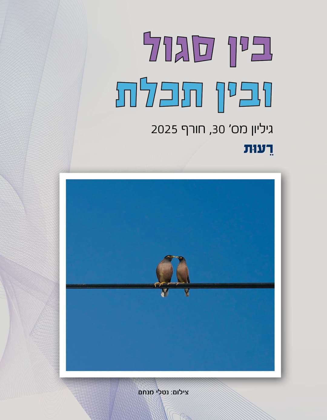 בין סגול ובין תכלת - גליון 30 - רעות
