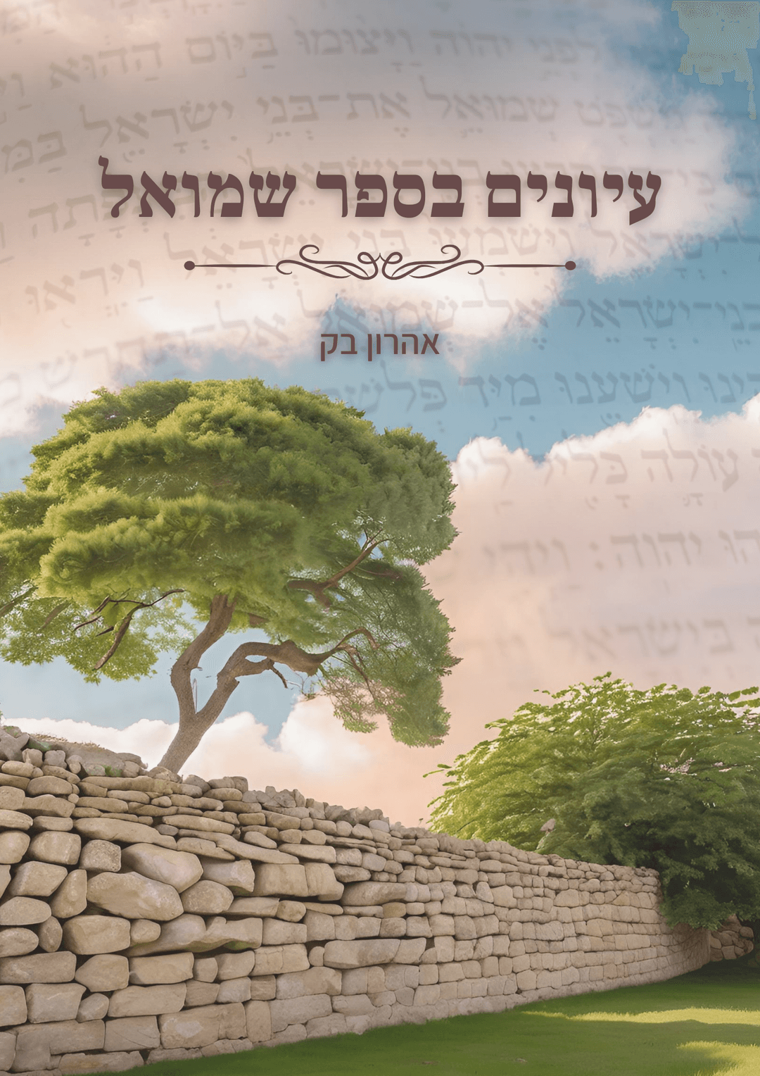 עיונים בספר שמואל