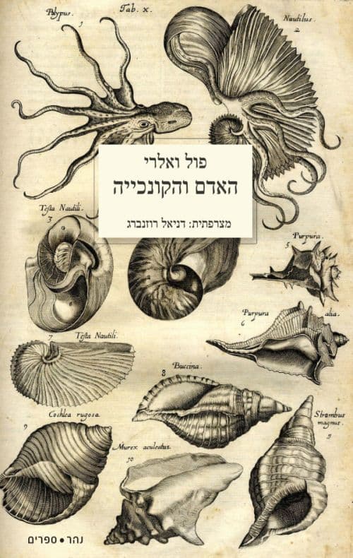 האדם והקונכייה