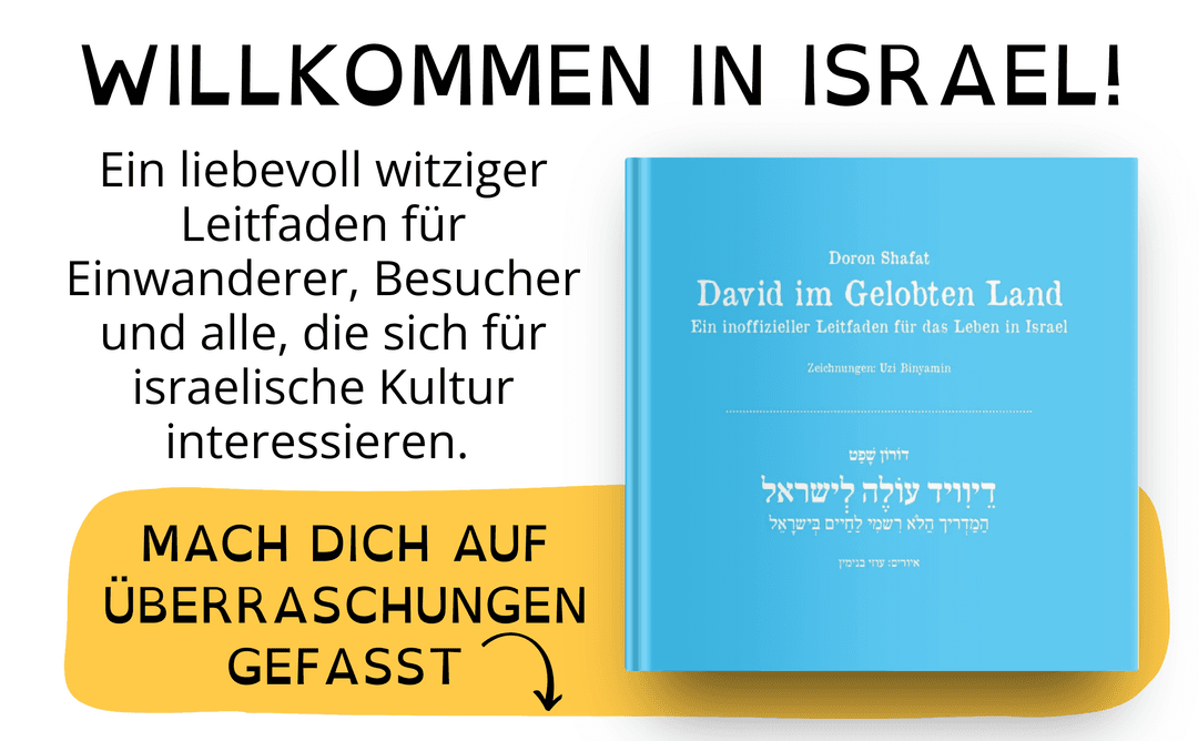 David im Gelobten Land: Ein inoffizieller Leitfaden für das Leben in Israel