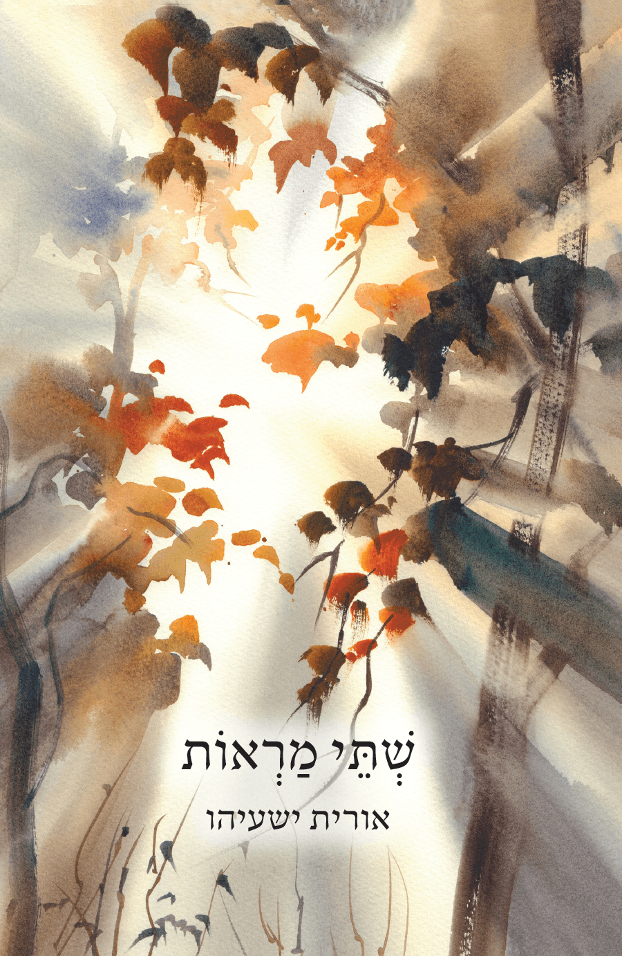 שתי מראות