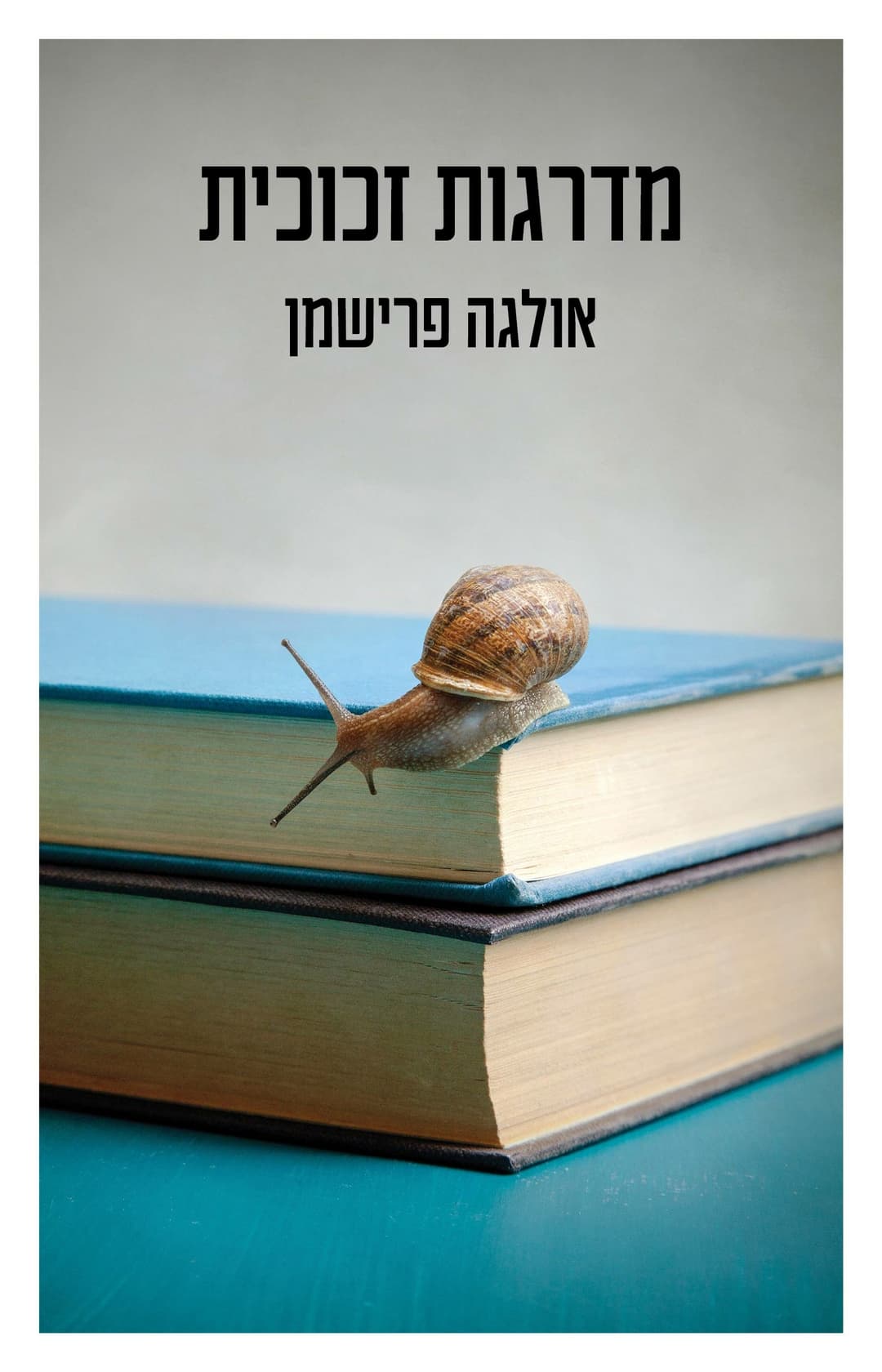 מדרגות הזכוכית