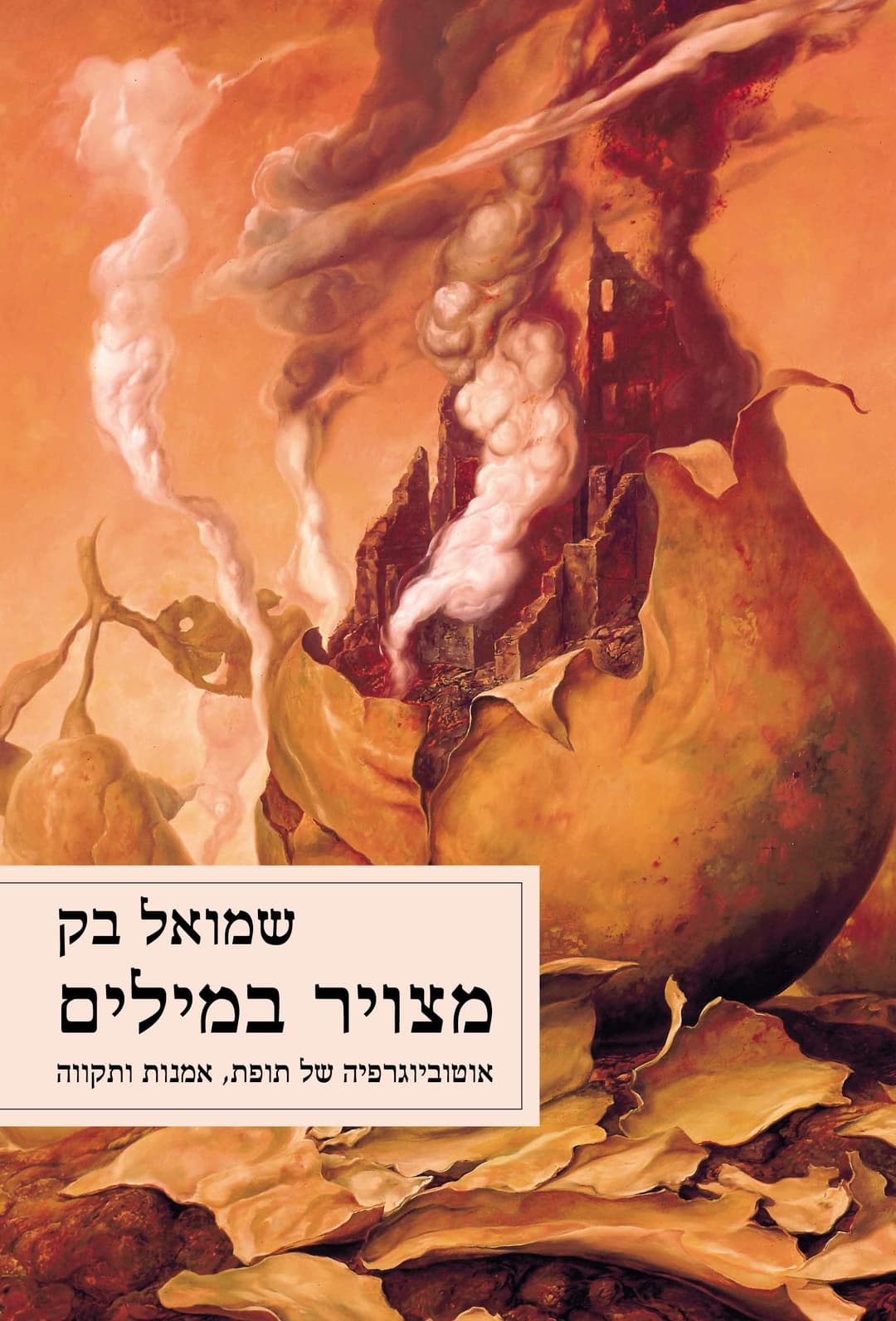 מצויר במילים