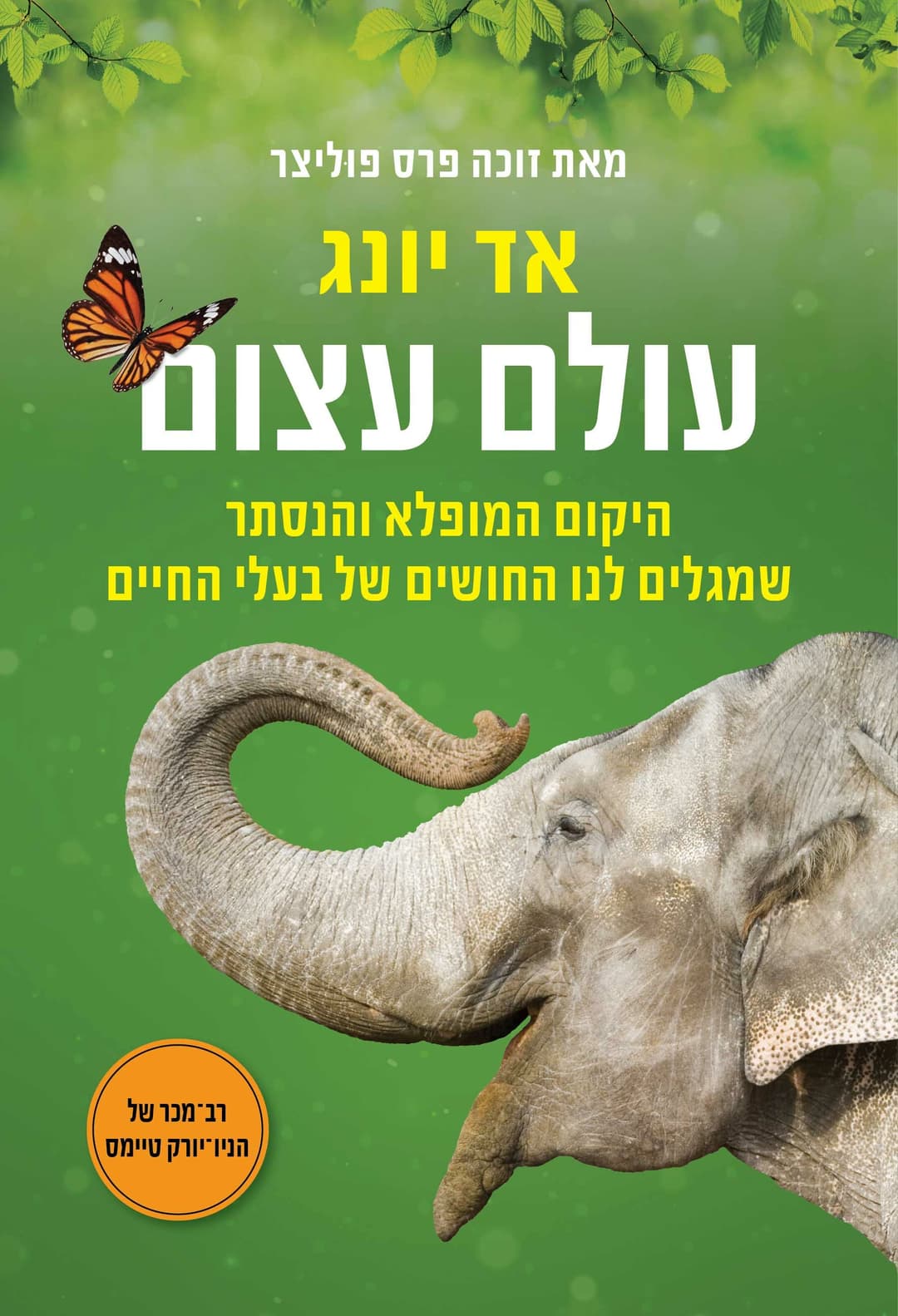 עולם עצום