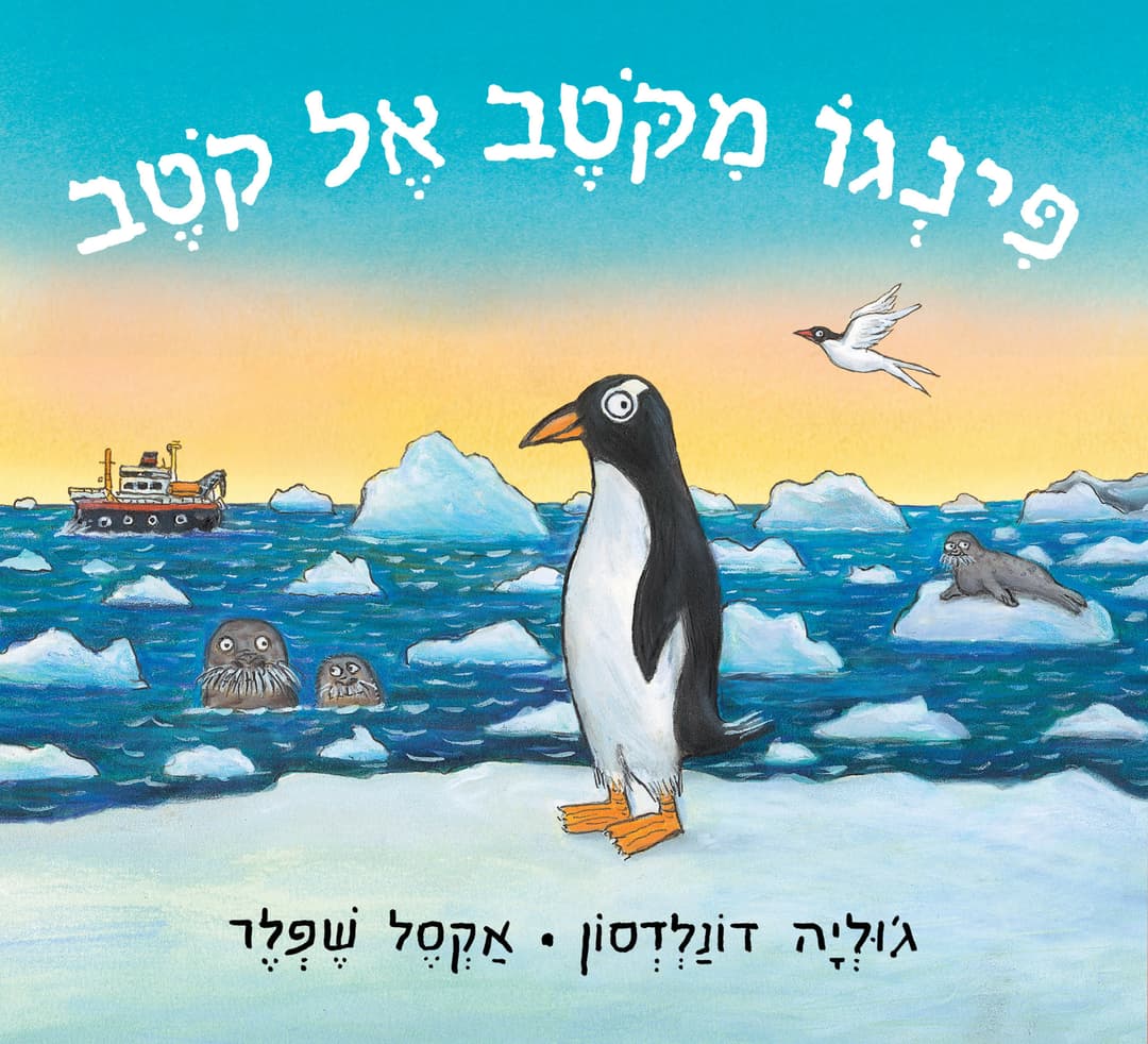 פינגו מקוטב לקוטב