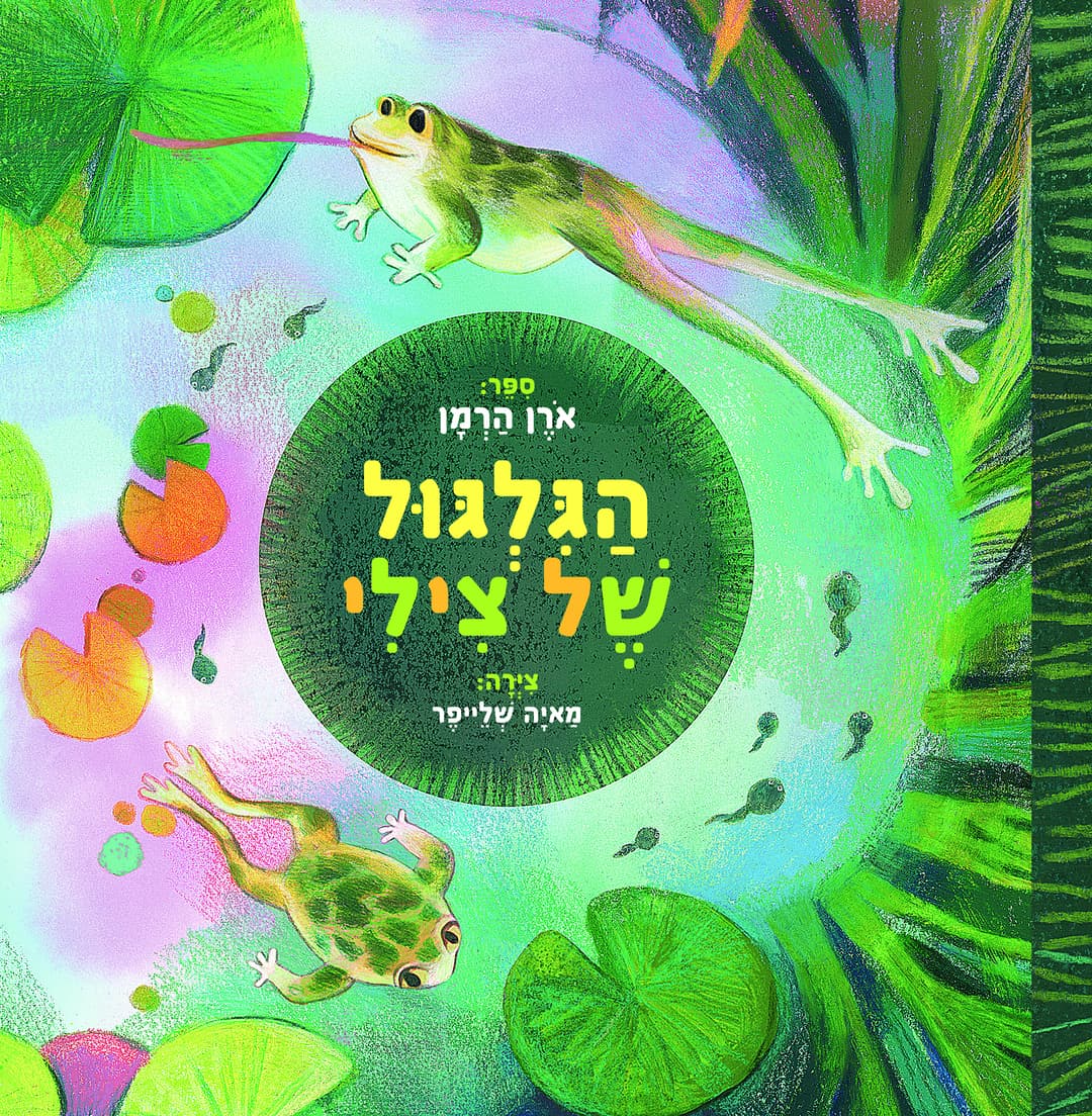 הגלגול של מיצי