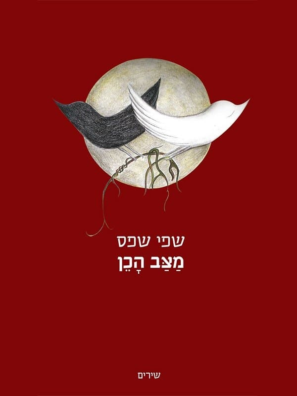 מצב הכן