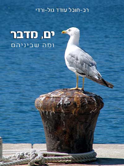 ים, מדבר
