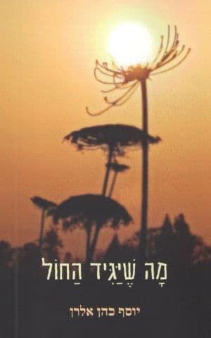 מה שיגיד החול