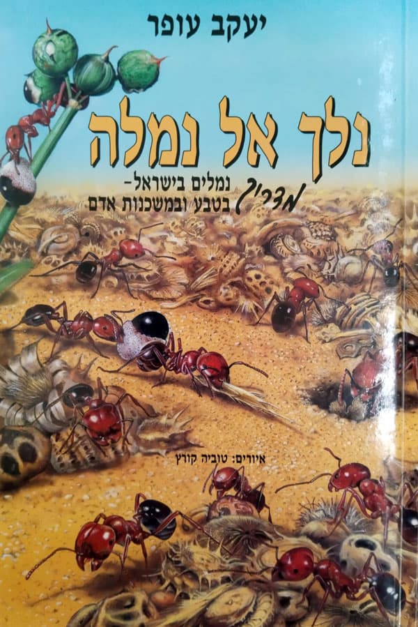 נלך אל נמלה