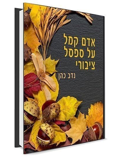אדם קמל על ספסל ציבורי