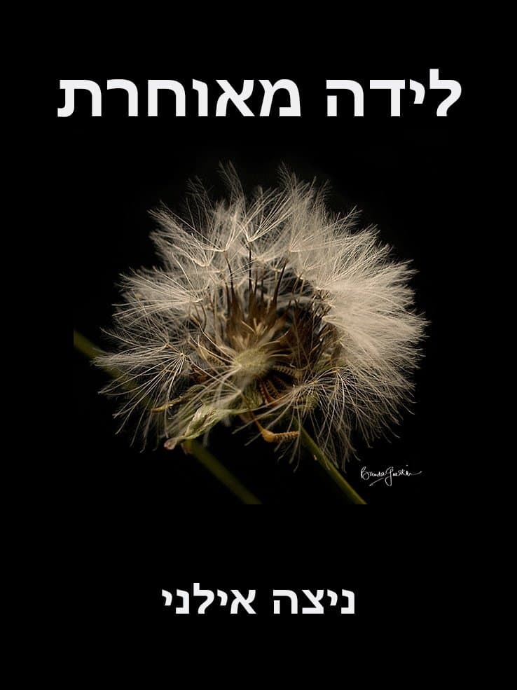 לידה מאוחרת