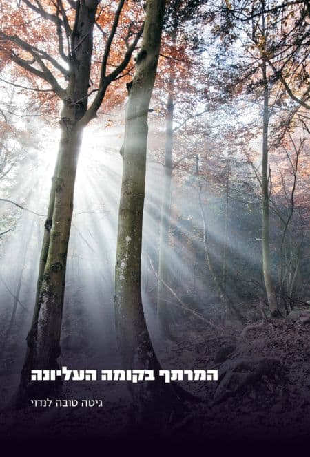 המרתף בקומה העליונה