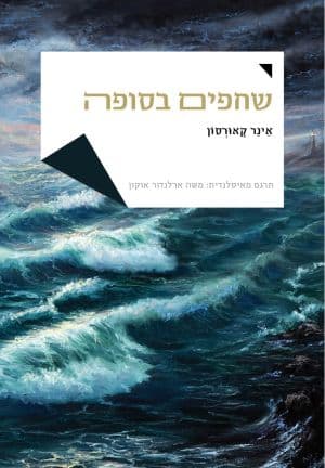 שחפים בסופה