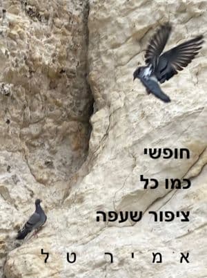 חופשי כמו כל ציפור שעפה