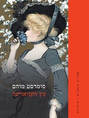 עץ הקזוארינה