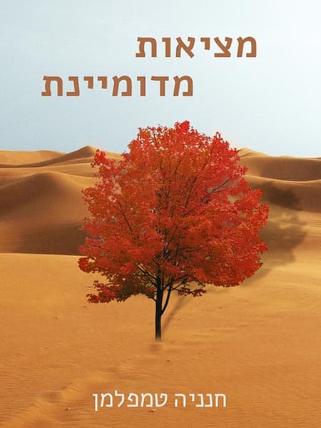מציאות מדומיינת