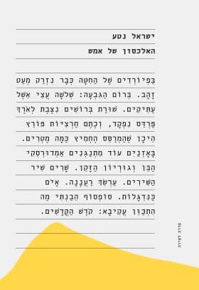 האלכסון של אמש