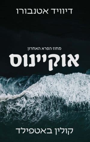 אוקיינוס