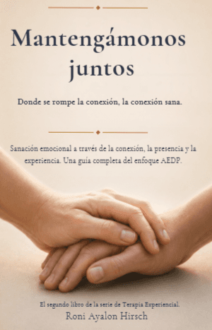 Mantengámonos juntos - Una guía integral de la AEDP