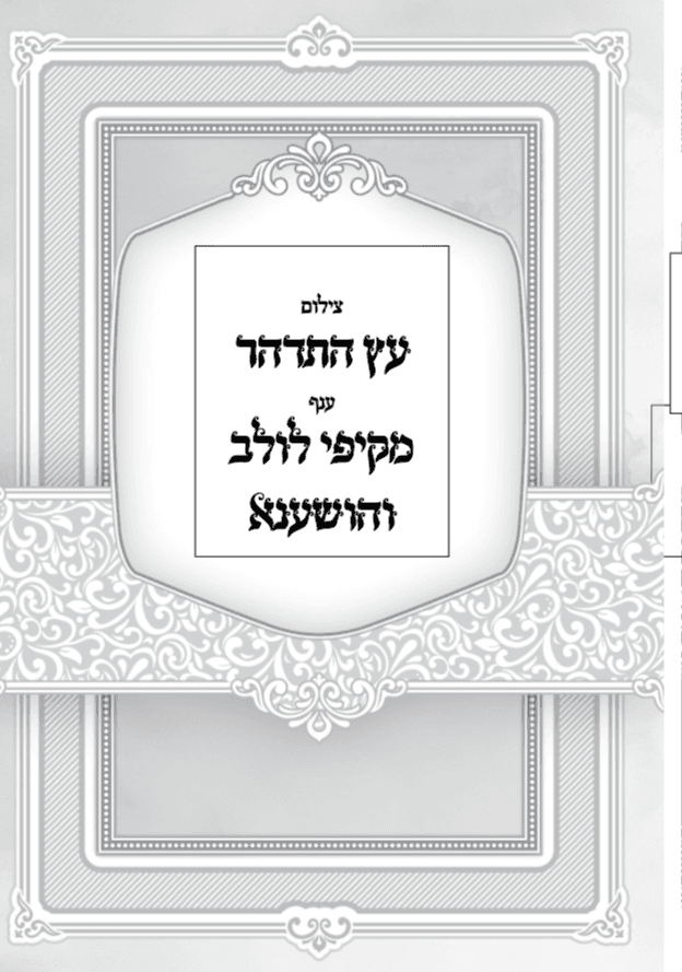 צילום סידור 'עץ התדהר' מקיפי לולב והושענא