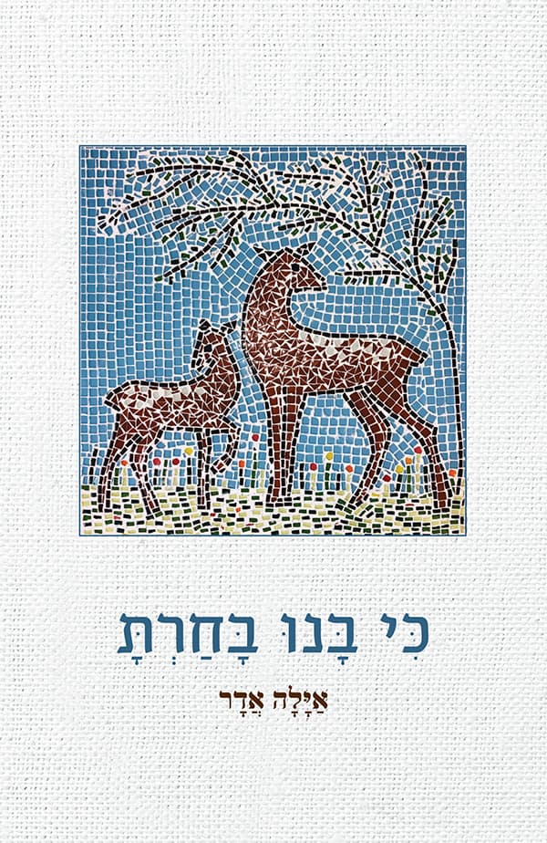 כי בנו בחרת
