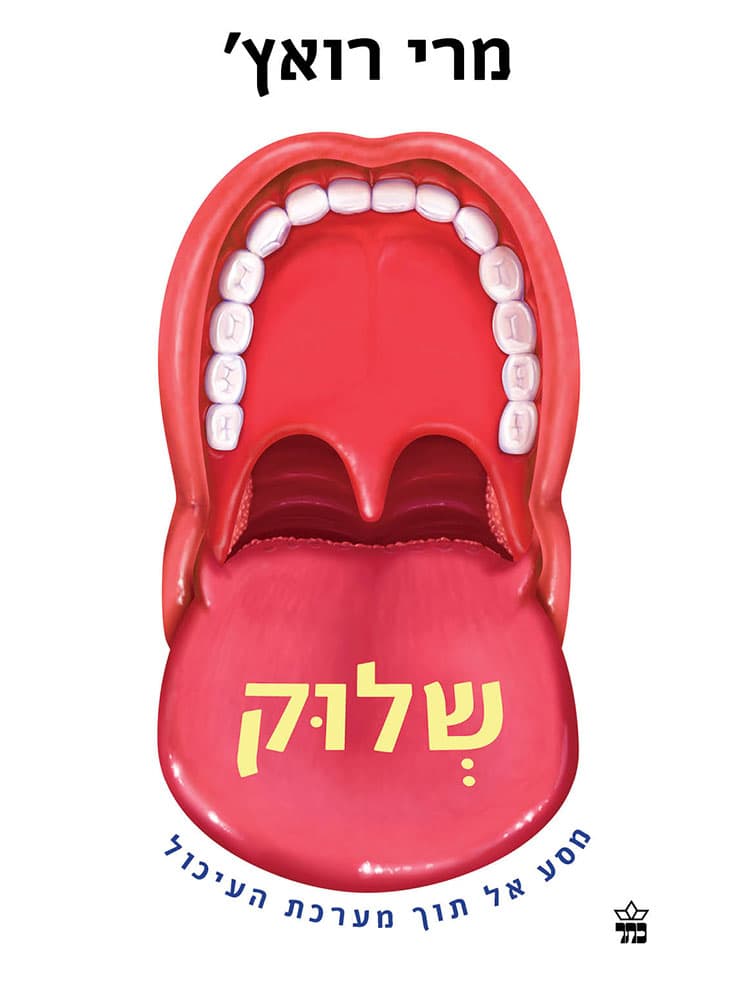שלוק
