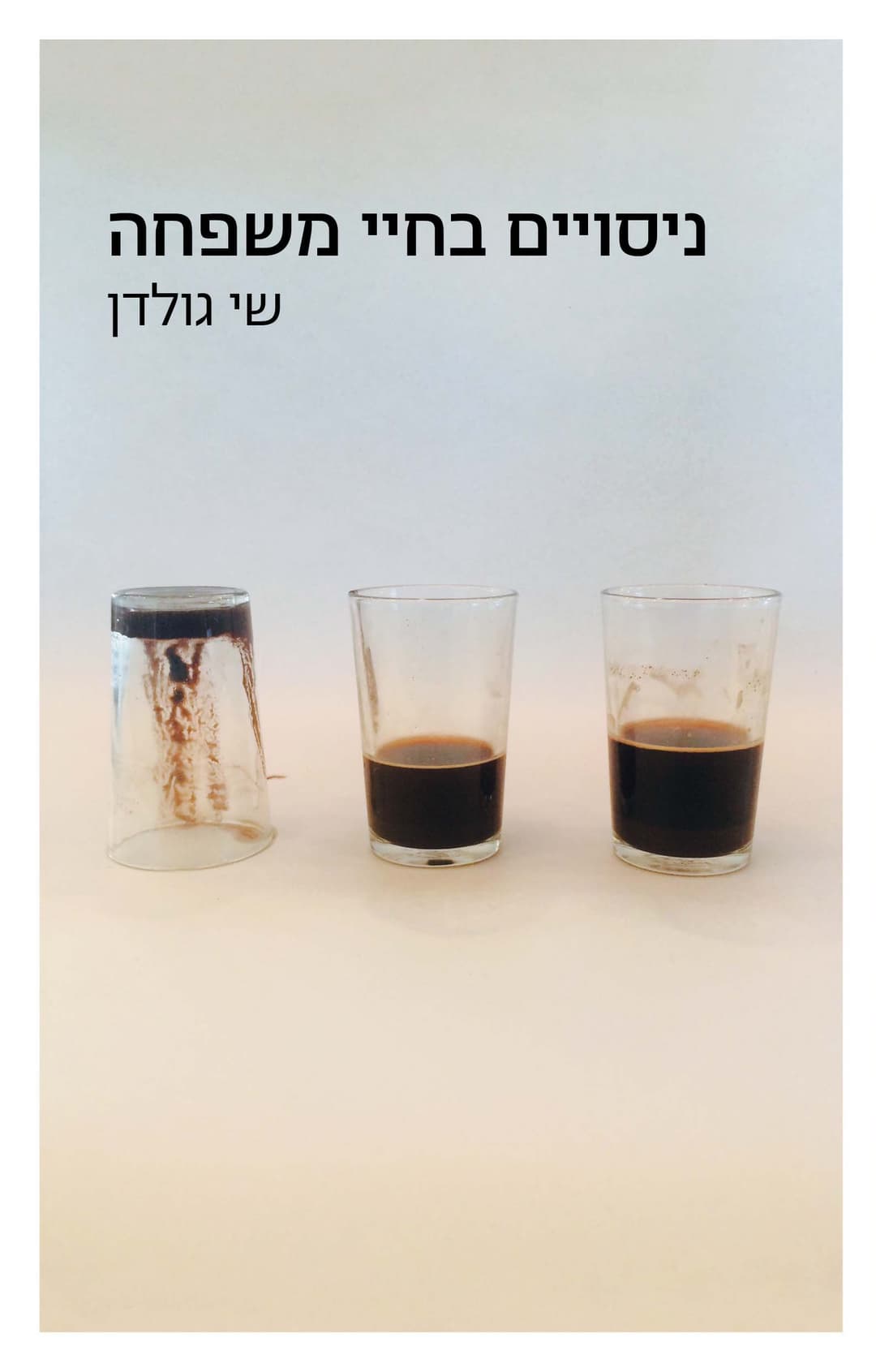 ניסויים בחיי משפחה