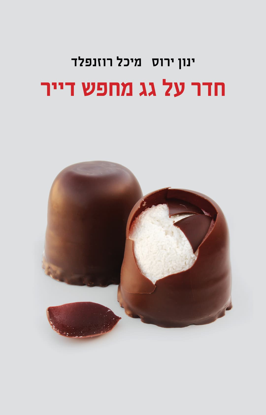 חדשר על גג מחפש דייר