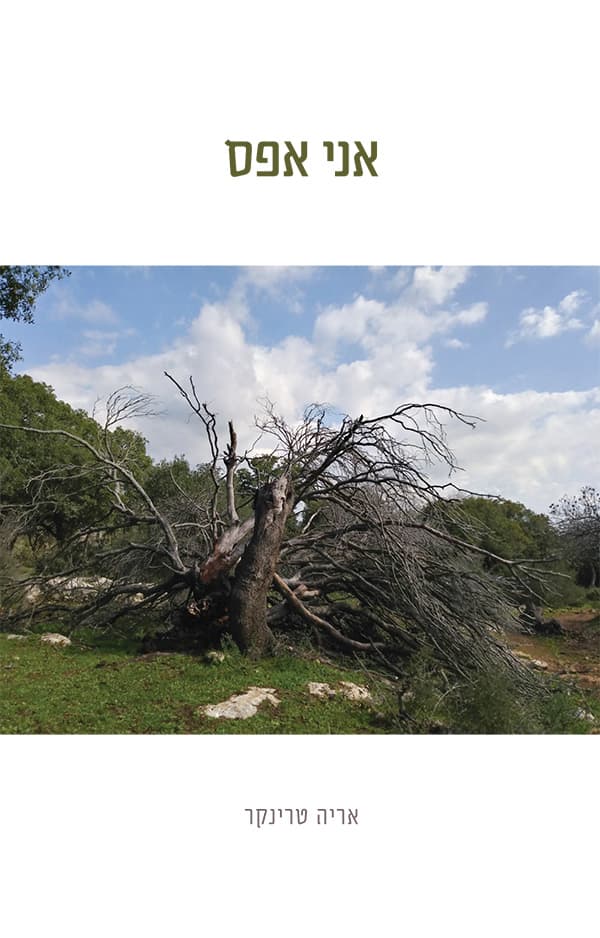 אני אפס