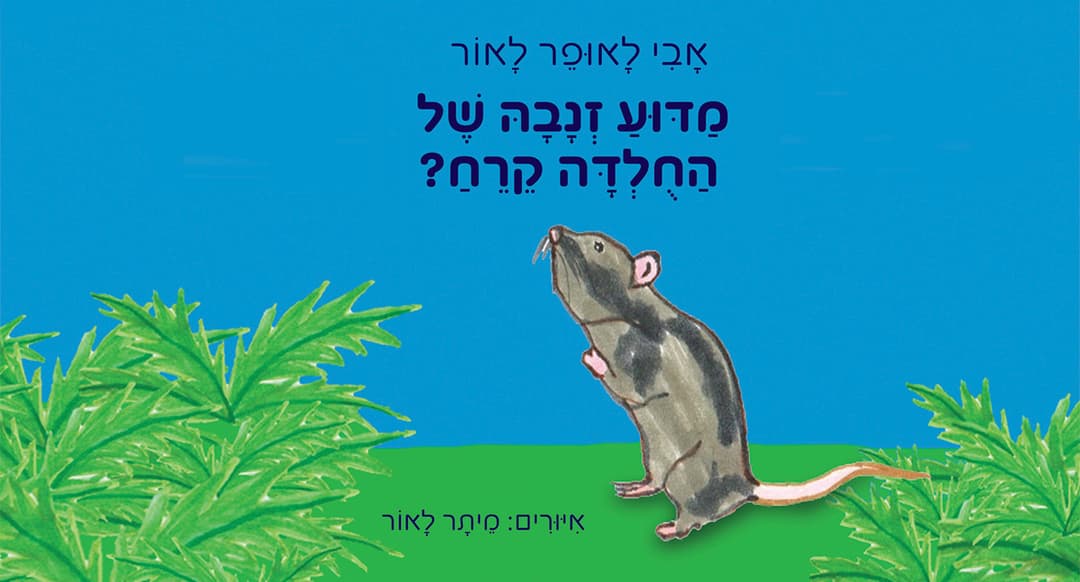 מדוע זנבה של החולדה קרח?