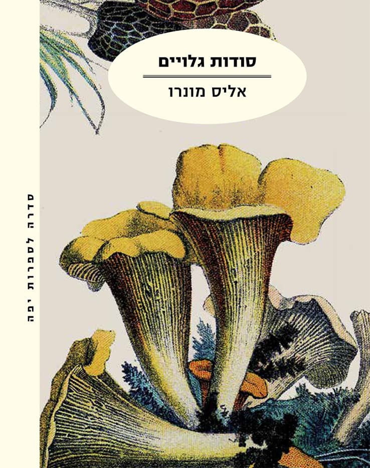 סודות גלויים