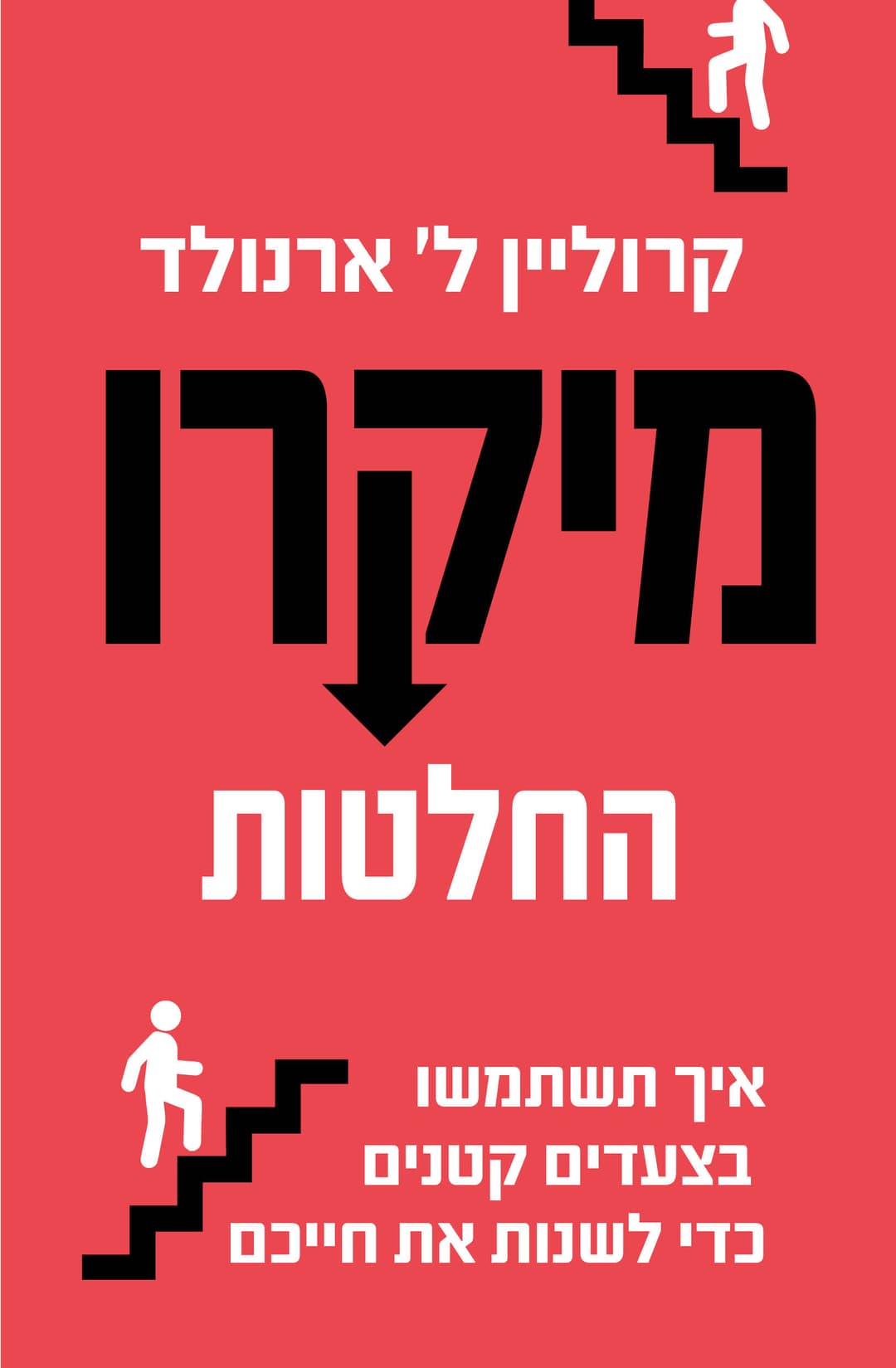 מיקרו החלטות