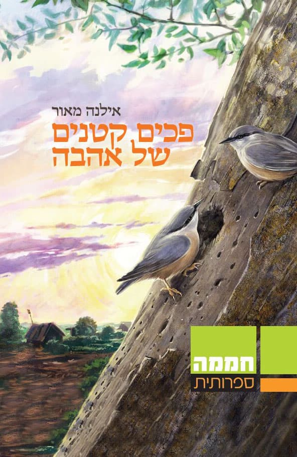פכים קטנים של אהבה