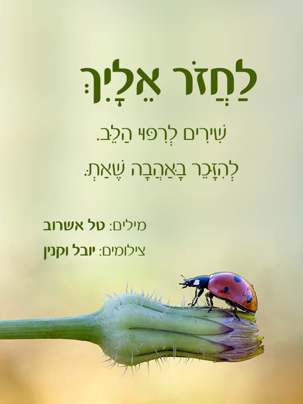 לחזור אלייך