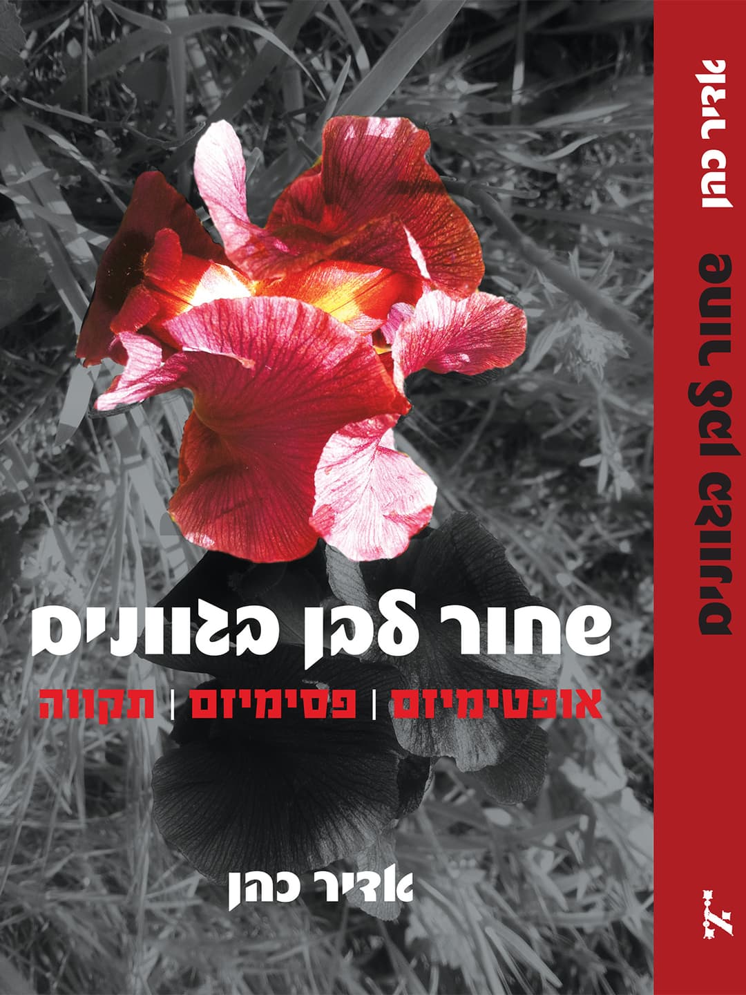 שחור לבן בגוונים