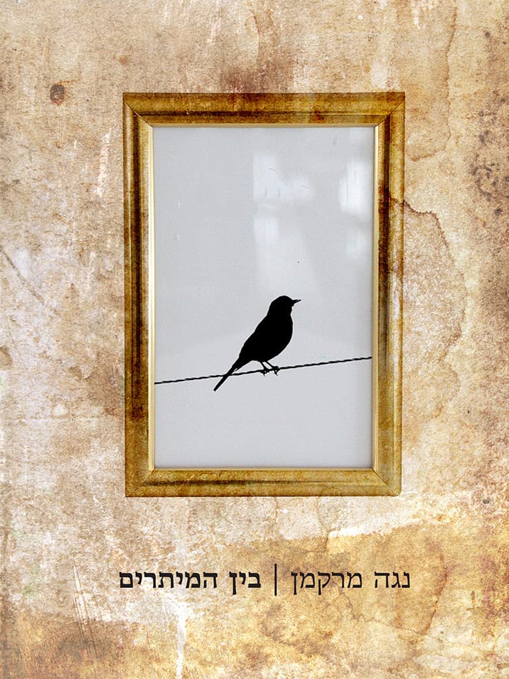 בין המיתרים