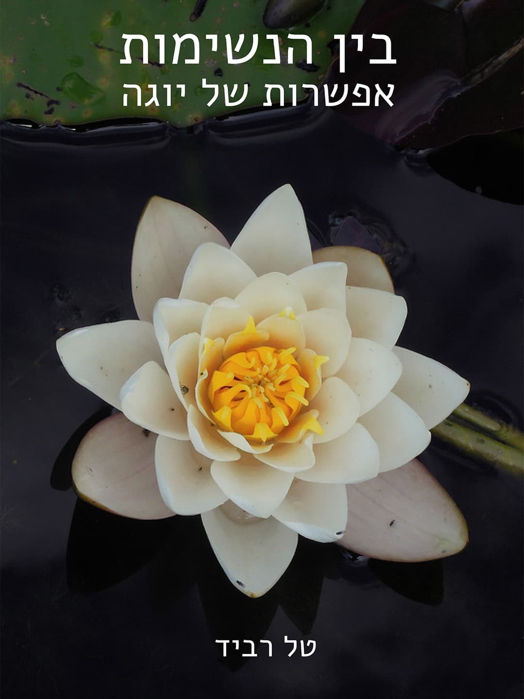 בין הנשימות - אפשרות של יוגה