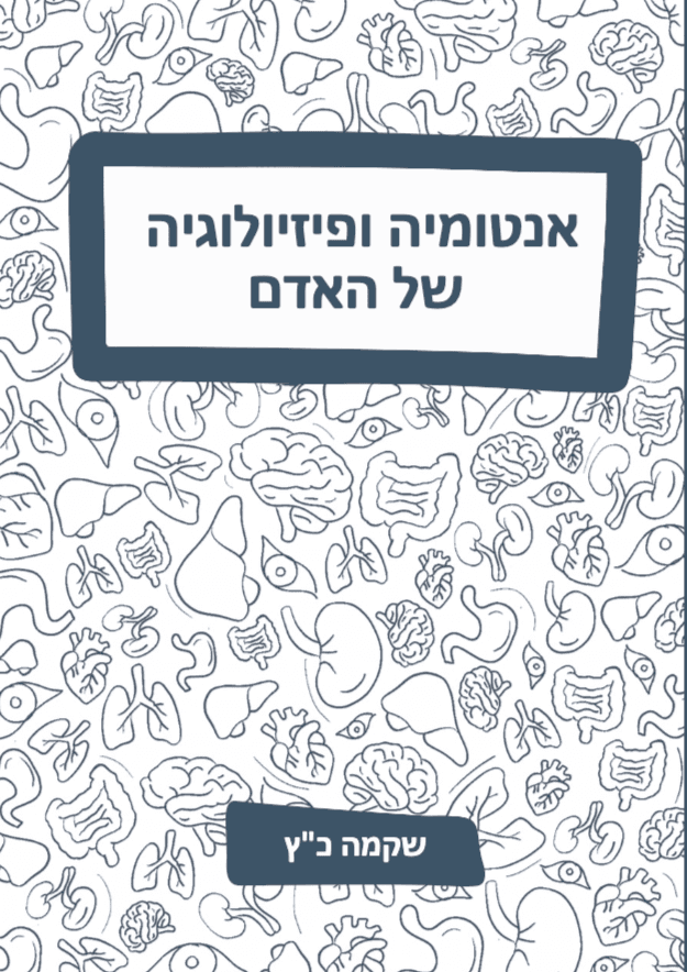 אנטומיה ופיזיולוגיה של האדם