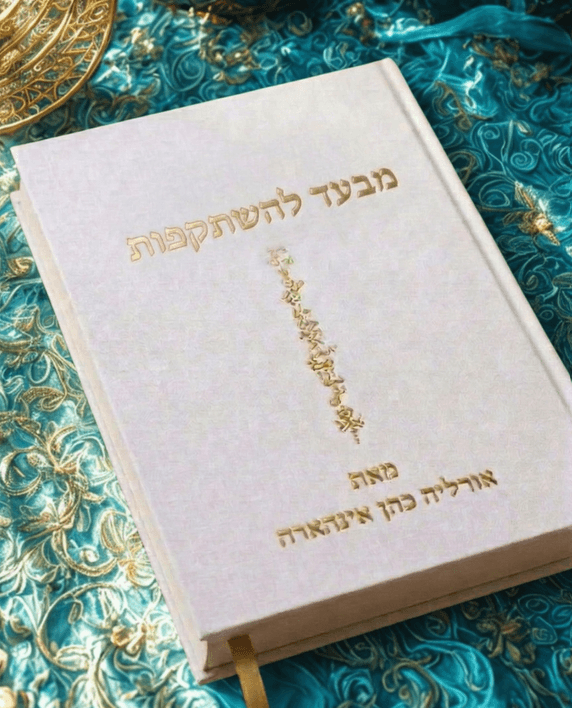 מבעד להשתקפות