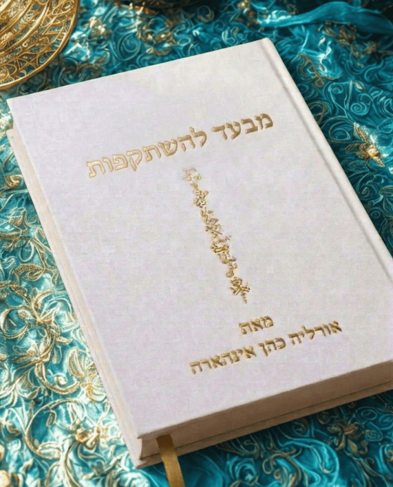 מבעד להשתקפות